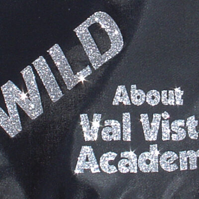 Wild About Val Vista Academy