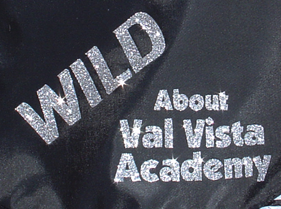 Wild About Val Vista Academy